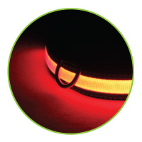 Триол Ошейник светодиодный NIGHT CITY красный,