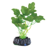 Растение шелковое "Гидрокотила", зеленое, 200мм, Laguna