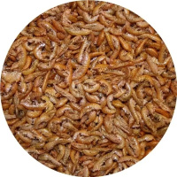 PETLUNCH Гаммарус крупный extra ПАКЕТ 11 л