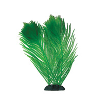 2568 Растение Перистолистник 25см Триол