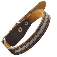 Ошейник кожаный двойной "Коса светоотражающая" (20мм*450мм)