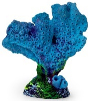 Россия Акропора, 9*5*10 (синий)