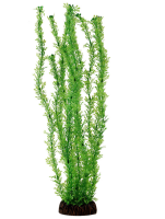 Растение "Лигодиум", зеленое, 100мм, Laguna