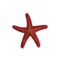 PRIME Декорация пластиковая "Морская звезда", 80*75*15 мм.