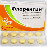 Флорентин таблетки 30 таб/уп симбиотик