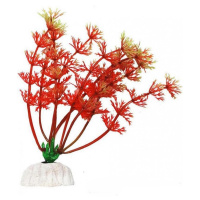 УЮТ Растение аквариумное 10см Амбулия красная 0,02кг [ВК111]