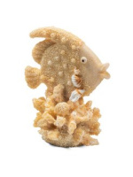 Грот "Рыба-ангел", S, 70*50*83мм