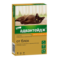 0.Advantage cat 0-4 4pip_face