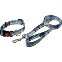 Комплект "Фотопринт-Ротвейлер" 25 мм [ошейник [с фикс. замка] + поводок 1,27 м, нейлон] BUC18