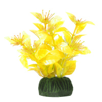 60e7008a4281c930194388