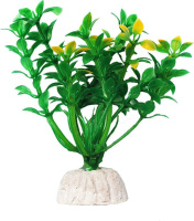 УЮТ Растение аквариумное 10см Гемиантус зелено-желтый 0,02кг [ВК112]