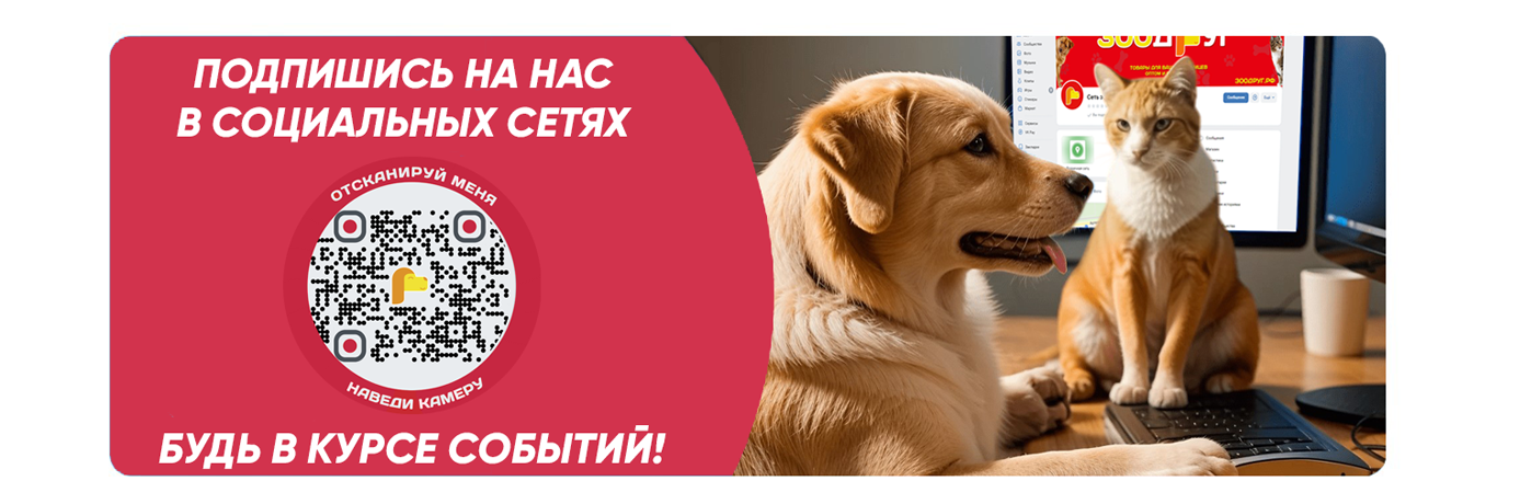 Под контентом