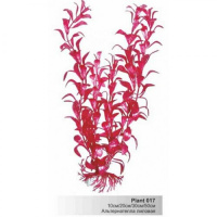 BARBUS 017/30 см. Plant лиловый растение