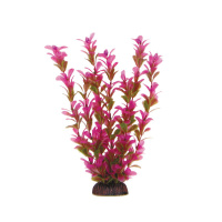 2564 Растение Иризене 25см Триол