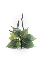 Коряга с растениями 23*17*15см DECOR 208