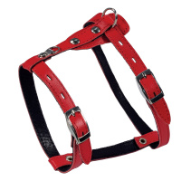 0e1b8db1-ecd2-11e9-8109-00155d009704_0e1b8db2-ecd2-11e9-8109-00155d009704.resize1