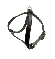 88/1 Daсkel Шлейка "8" мягкая 15мм нат/кожа