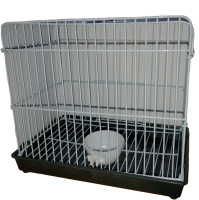 Клетка для джунгарского хомяка [21*16*19] Джи Пи Ай