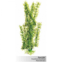BARBUS 024/30 см. Plant зеленое растение