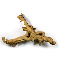 BARBUS Африканское дерево, Виноградная лоза, 40-80 см