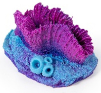 Россия Гониопора, 7*5*4 (фиолетовая)