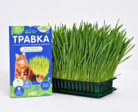 АВЗ Четыре с хвостиком Травка для кошек и других домашних питомцев, лоток 100г