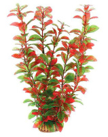 2952 Растение Людвигия вариегата 29см Триол