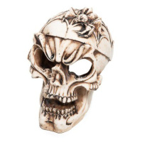 Грот "Череп с пауком", 100*75*90мм Триол