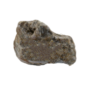 InShot_20230629_163815498