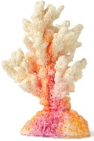 Грот Коралл ветка , 7*7*11 Краснодар персиковый