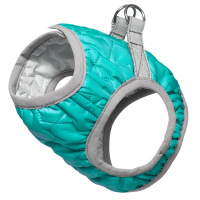 cdf8860e-8070-11ed-ba58-ecf4bbc0ea2b_5669bd6c-8071-11ed-ba58-ecf4bbc0ea2b.resize1