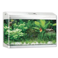 Аквариум JEBO 390 R 193л светлое дерево 900*480*615мм