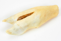 LUCKY DOG Нога говяжья малая [уценка]