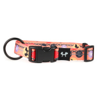 Ошейник United Pets для собак Complete me Forever S 26-40/1,6 см, оранжевый с рисунком