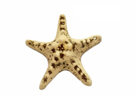 PRIME Звезда 11x11x4 см.