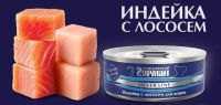 Четвероногий гурман Корм неполнорационный для собак "Серебряная линия Индейка с лососем"100 г консервы
