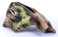 Россия Грот Коряжка с мхом, К-75 Краснодар