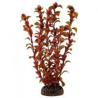 2573 Растение Гомфрена коричневая 25см Триол