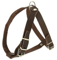 7b0cad89_8300_11eb_8112_a0d3c1f100d5_5737