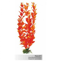 BARBUS 011/30 см. Plant оранжевое растение