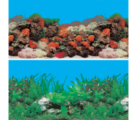 Россия Фон для а "Красное море/Речная долина" 15м,