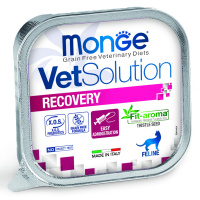 Monge VetSolution Cat Recovery Рекавери для кошек при восстановлении питания в период выздоровления 100 гр.