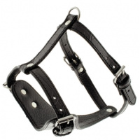 Шлейка ДЕЙЗИ д/с XS черный 5624184