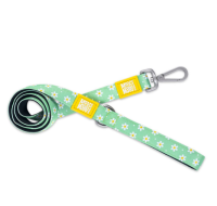 Короткий поводок.MAX&MOLLY,L, Ромашки