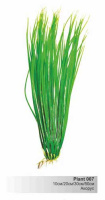 BARBUS 007/20 см. Plant зеленое растение