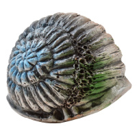 Грот Иж Раковина 18*13*11 см