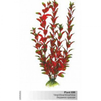 BARBUS 006/30 см. Plant красное растение