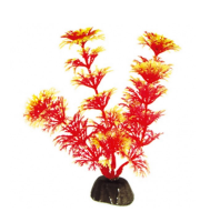 Раст. Светящееся в темноте 055 10см Барбус