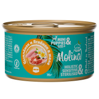 Molina Консервы для собак Цыпленок и Ягненок в желе. 70г