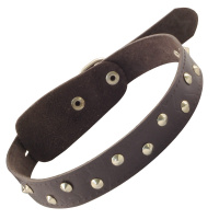 Триол Ошейник кожаный c кольцом и украшением, 25 мм.*580 мм.